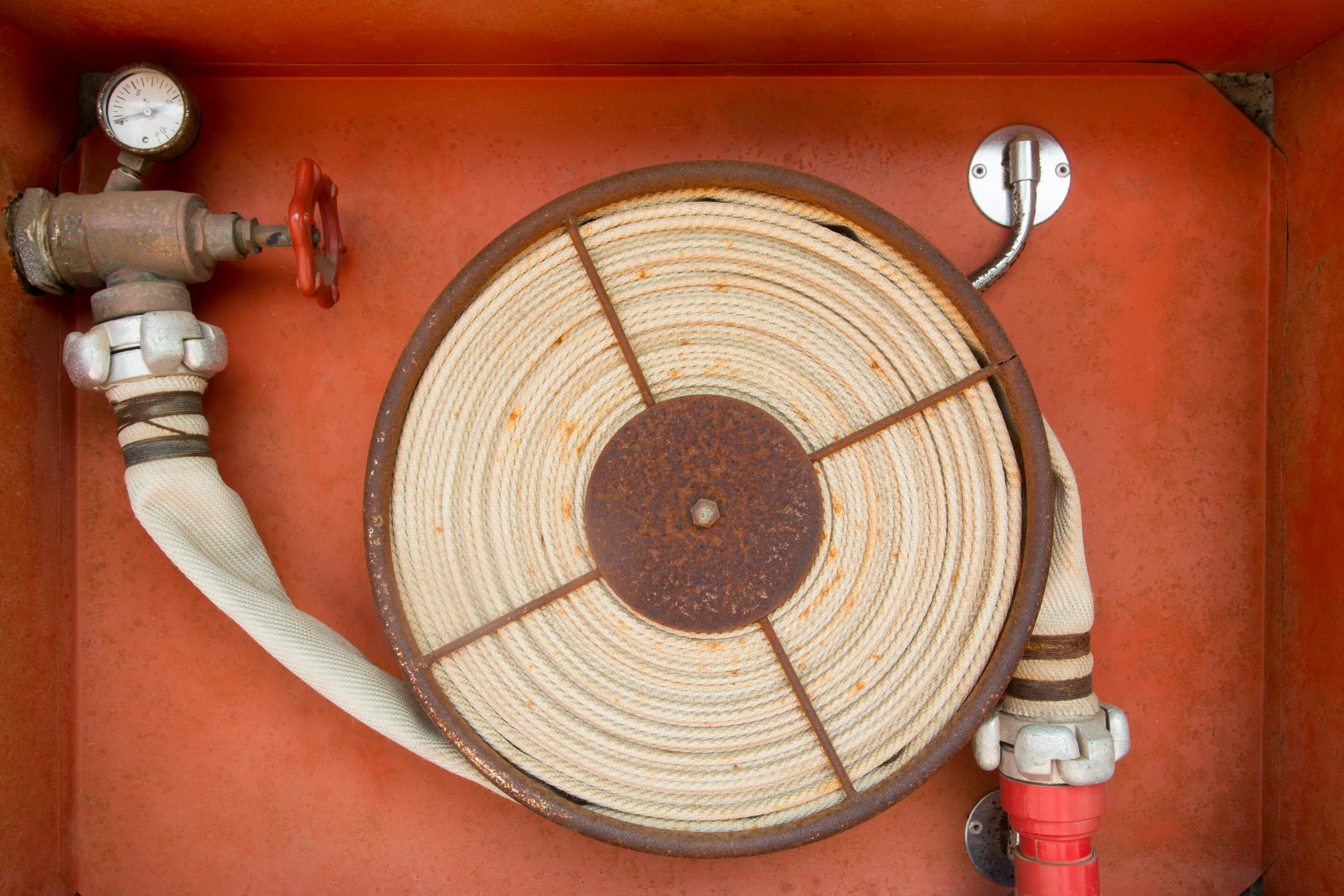 pexels-jan-van-der-wolf-11680885-9008241 (1)